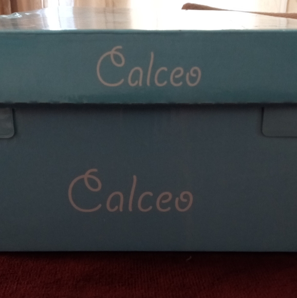 Calceo- Multi-colored flower print painted leather- size 36 New boxed - Picture 7 of 9